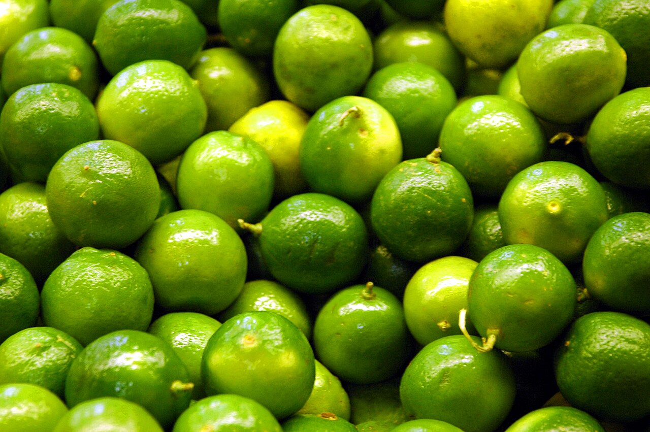 Limão-taiti (Citrus × latifolia)