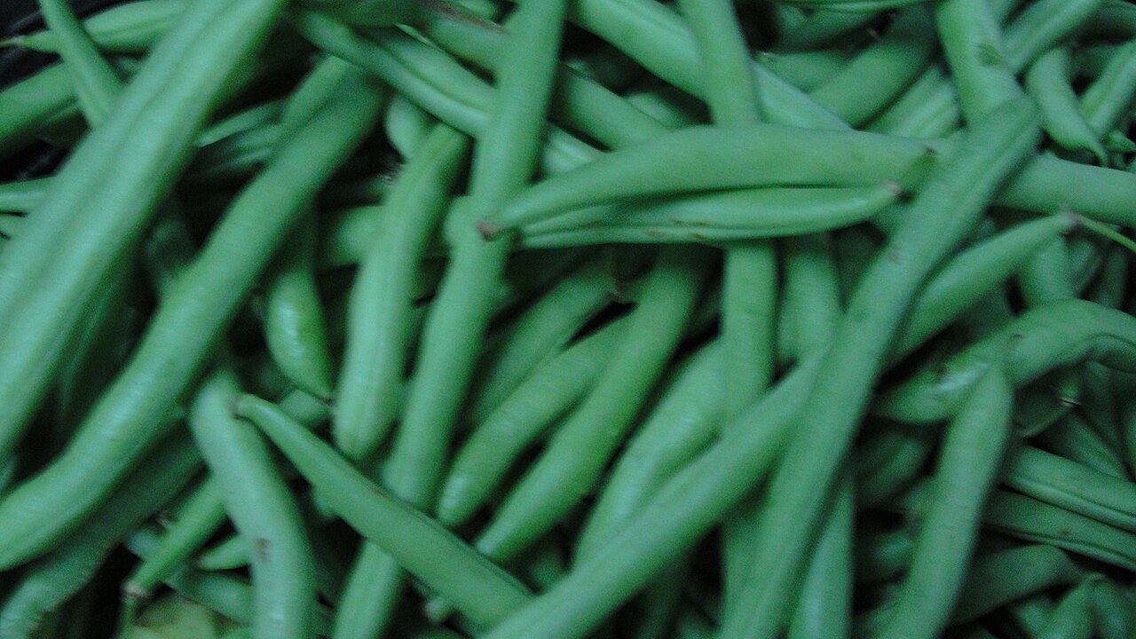 Vagem (Phaseolus vulgaris)